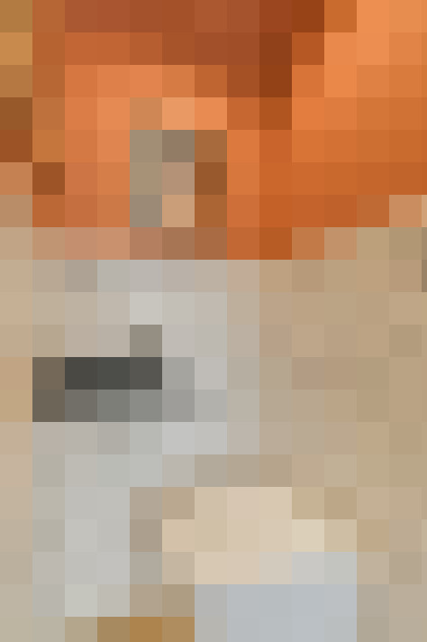 Image 29