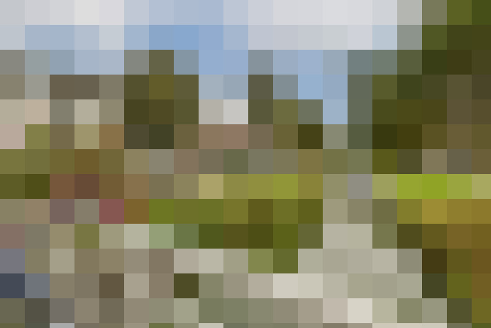 Image 33