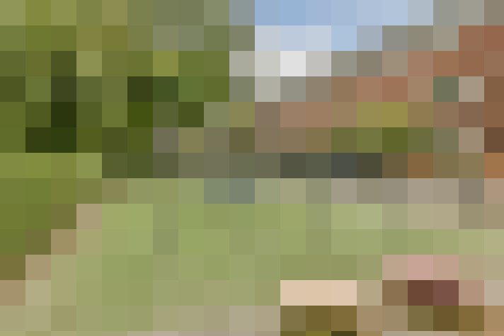 Image 35