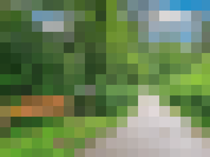 Image 29