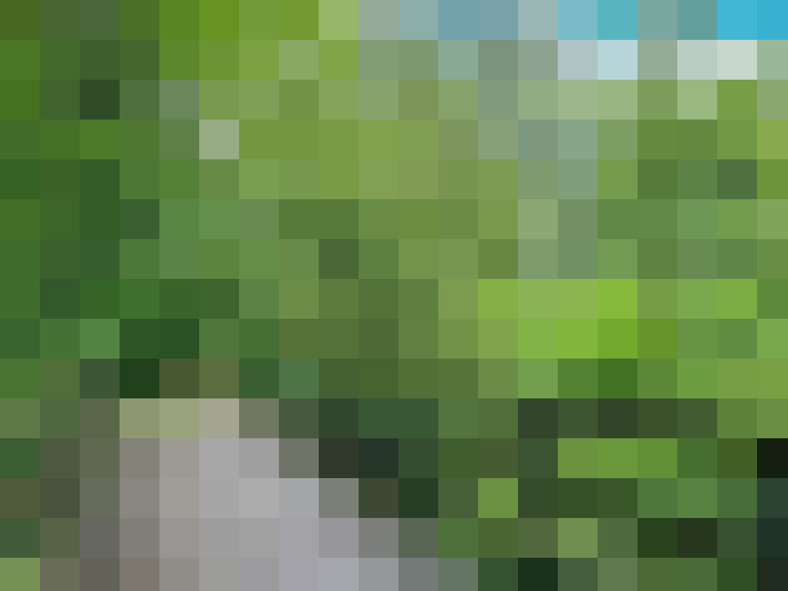 Image 30