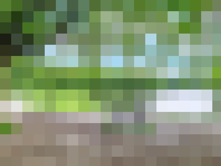 Image 31