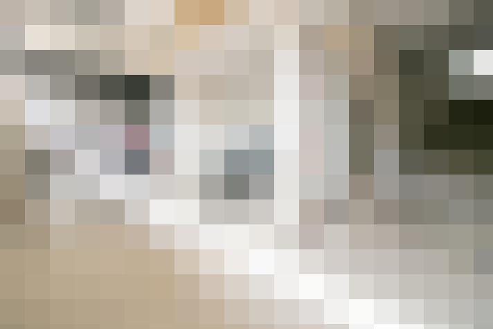 Image 17
