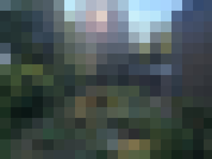 Image 17
