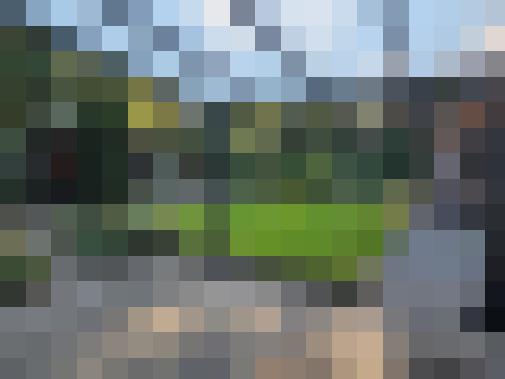 Image 16