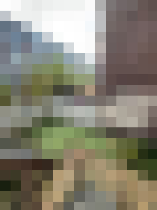 Image 18