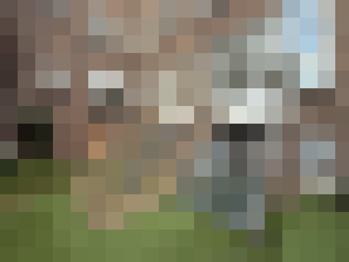 Image 16