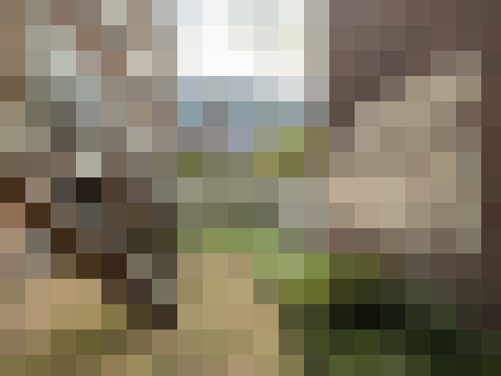 Image 17