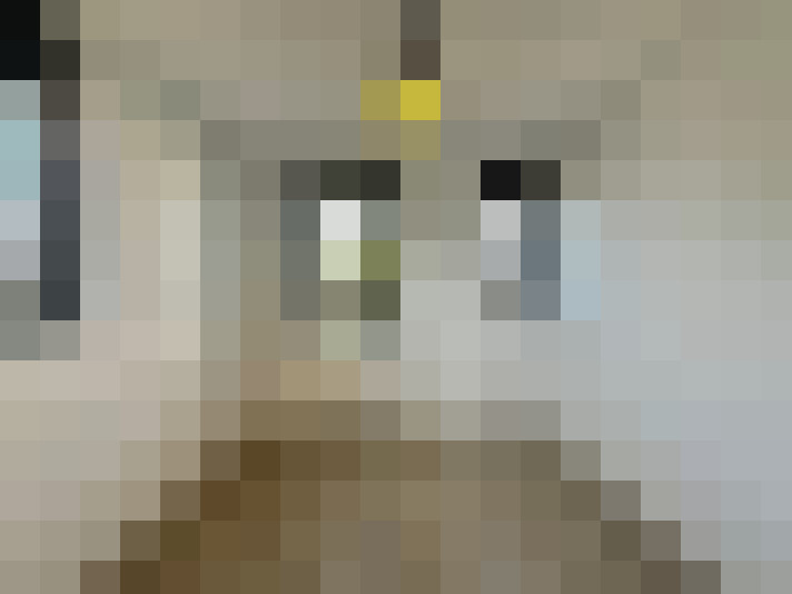 Image 22