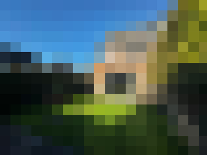 Image 30