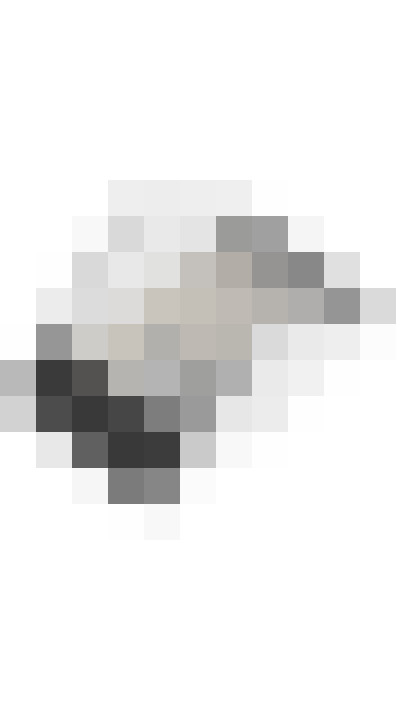 Image 28