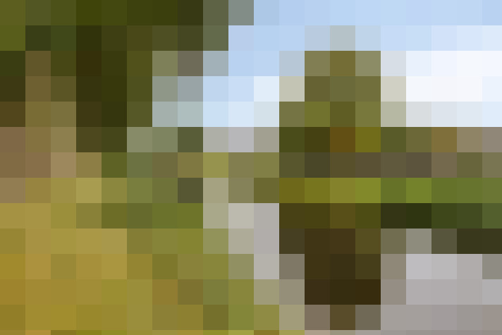 Image 40