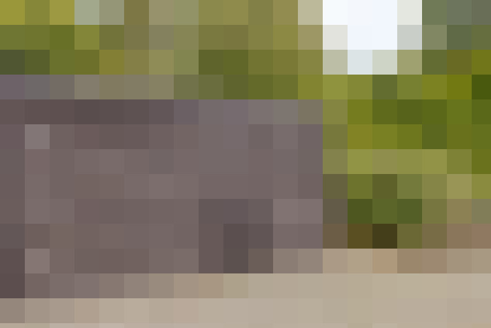 Image 36