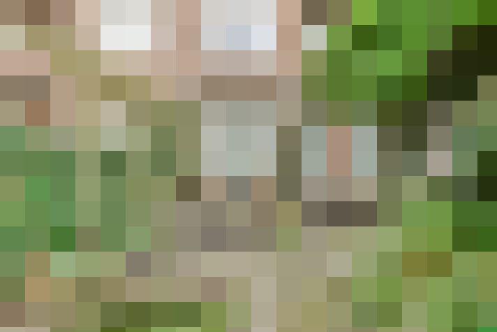 Image 17