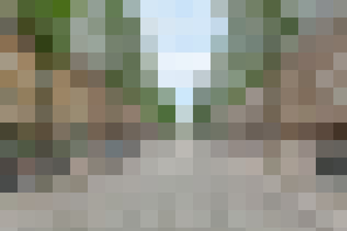 Image 41