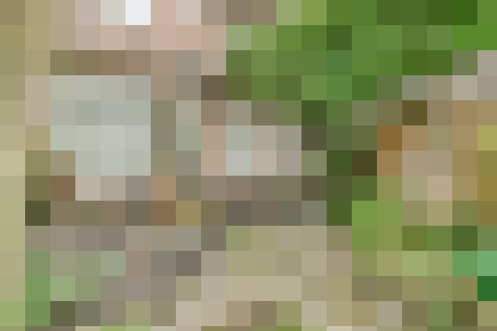 Image 18