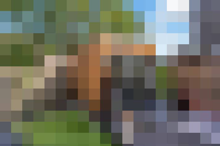 Image 72