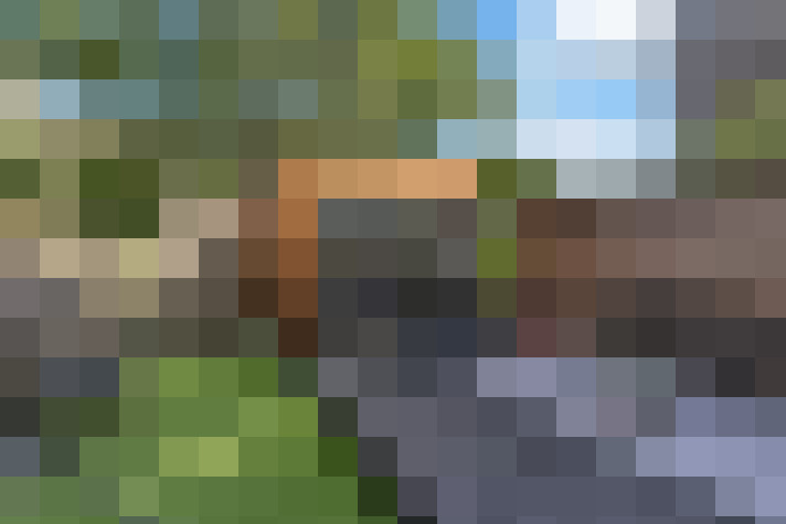 Image 65