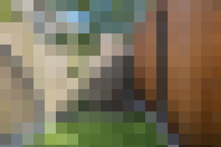 Image 69