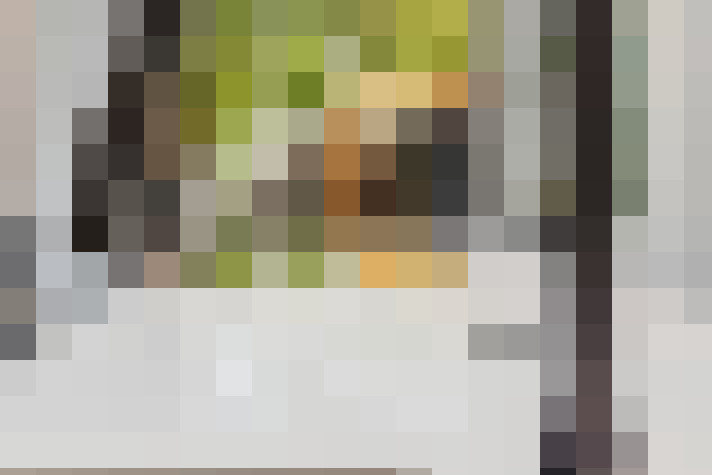 Image 29