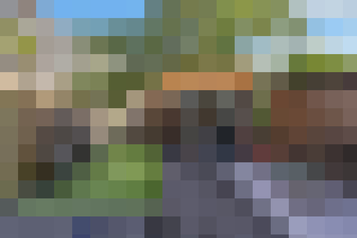 Image 64