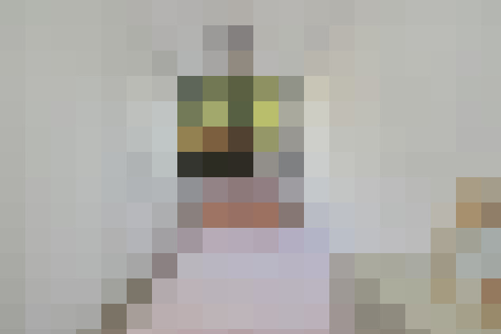 Image 48