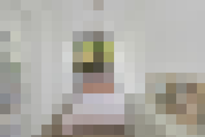 Image 50