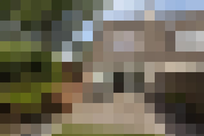Image 35