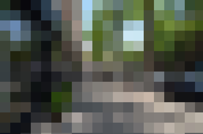 Image 26