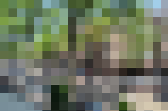 Image 29