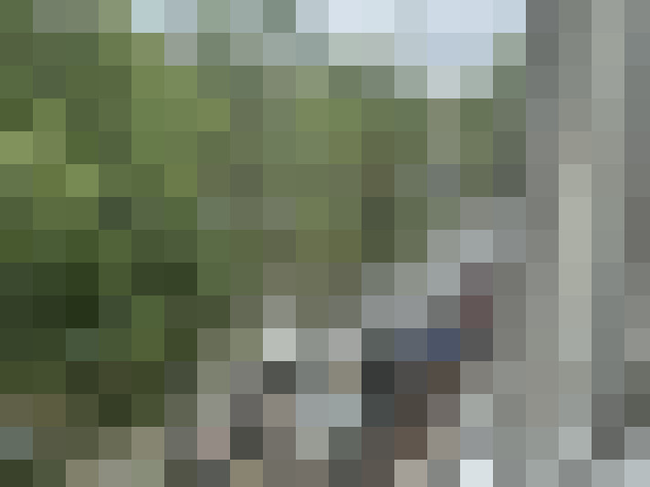 Image 13