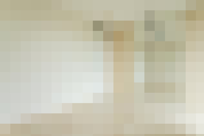 Image 33