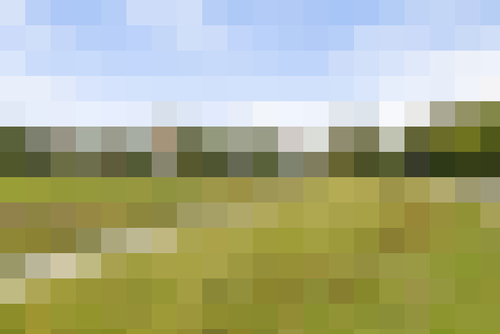 Image 24