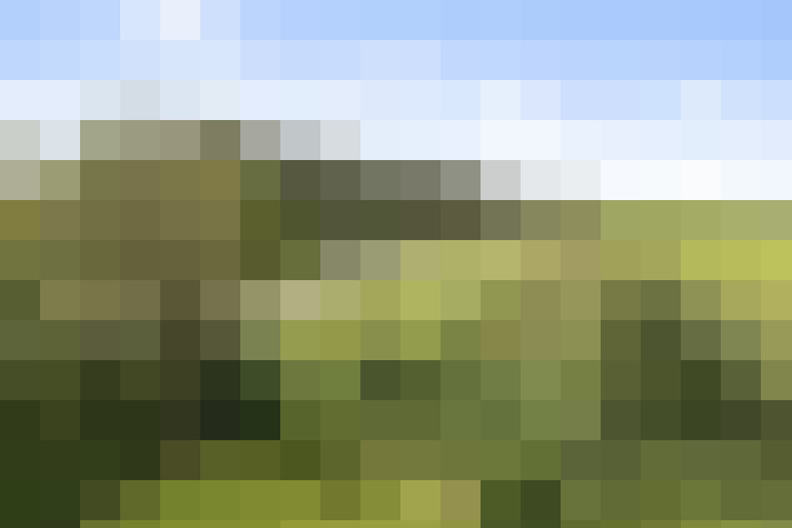 Image 23