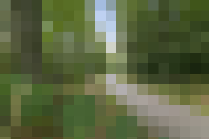 Image 27