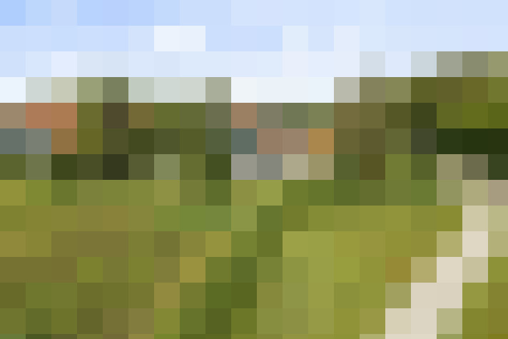 Image 25