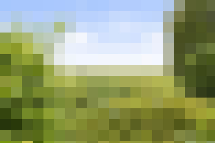 Image 22