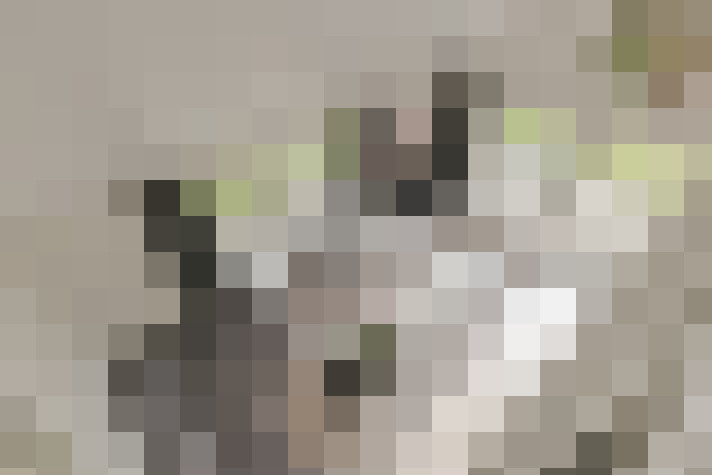 Image 14