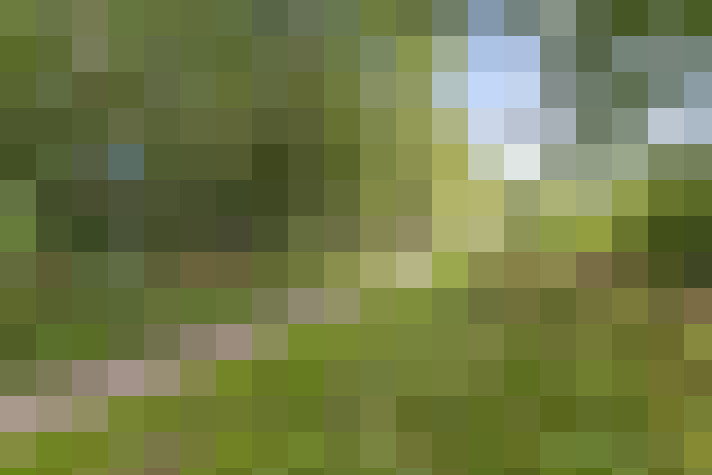 Image 28