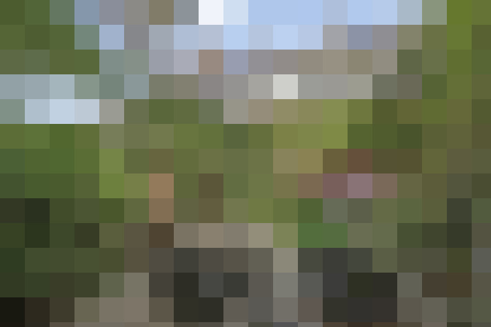 Image 14