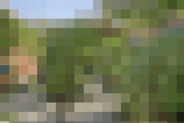 Image 13