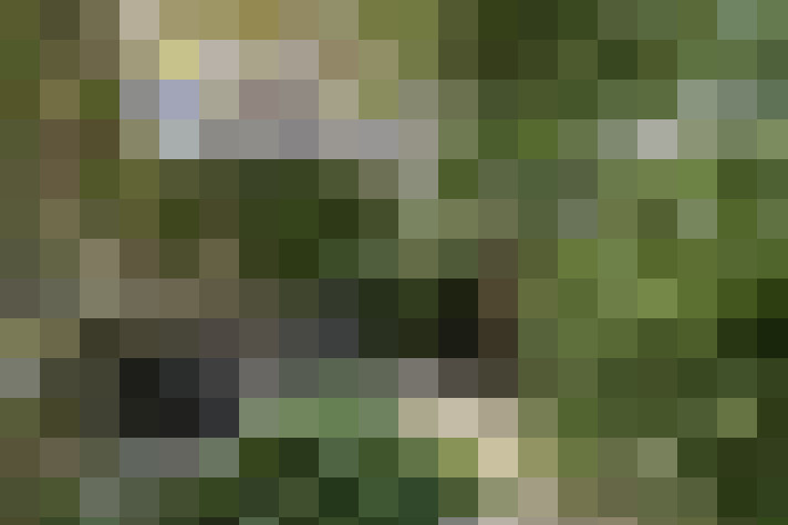 Image 15
