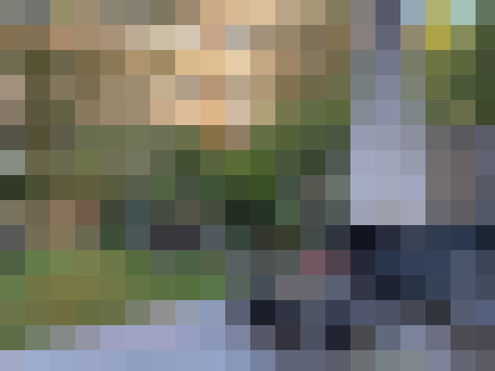 Image 30