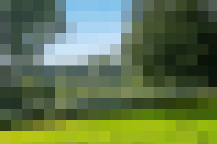 Image 39