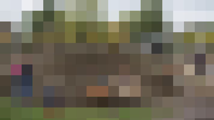 Image 42