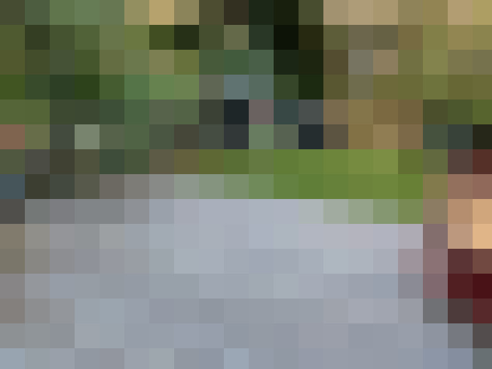 Image 29