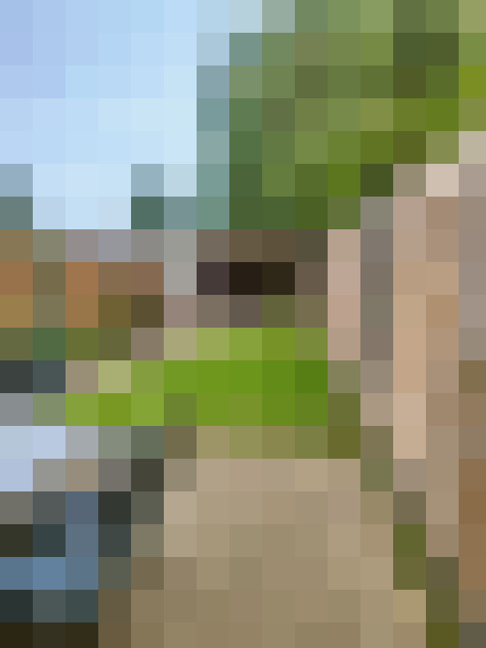 Image 29