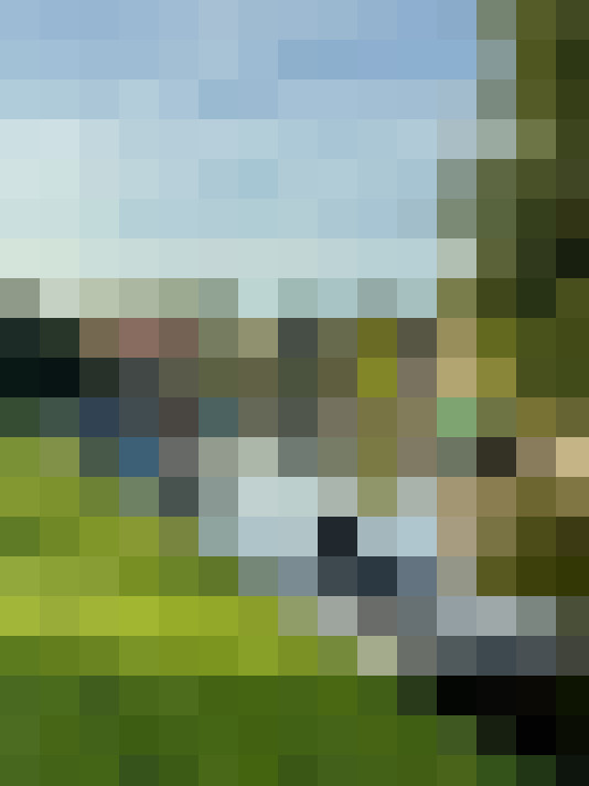 Image 46
