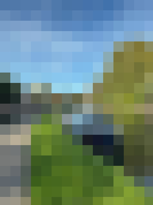Image 44