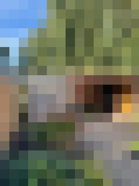 Image 30